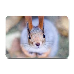 Squirrel Looks At You Small Doormat  by FunnyCow