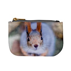 Squirrel Looks At You Mini Coin Purses by FunnyCow