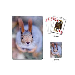 Squirrel Looks At You Playing Cards (mini)  by FunnyCow