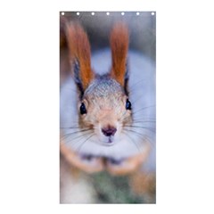 Squirrel Looks At You Shower Curtain 36  X 72  (stall)  by FunnyCow