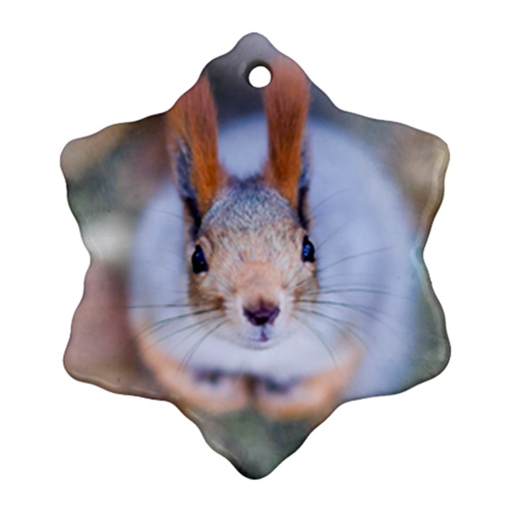 Squirrel Looks At You Snowflake Ornament (Two Sides)