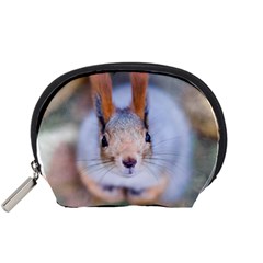 Squirrel Looks At You Accessory Pouches (small)  by FunnyCow