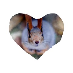 Squirrel Looks At You Standard 16  Premium Flano Heart Shape Cushions by FunnyCow