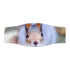 Squirrel Looks At You Stretchable Headband by FunnyCow