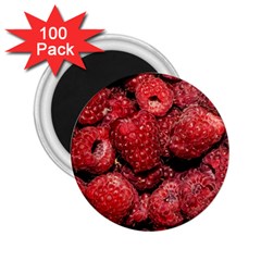 Red Raspberries 2 25  Magnets (100 Pack)  by FunnyCow