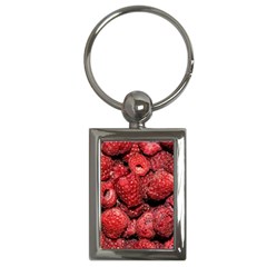 Red Raspberries Key Chains (rectangle)  by FunnyCow