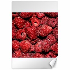 Red Raspberries Canvas 20  X 30   by FunnyCow