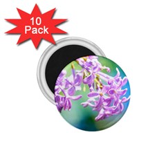 Beautiful Pink Lilac Flowers 1 75  Magnets (10 Pack)  by FunnyCow