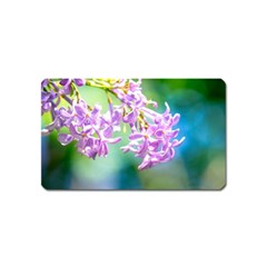 Beautiful Pink Lilac Flowers Magnet (name Card) by FunnyCow