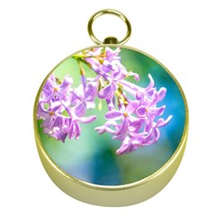 Beautiful Pink Lilac Flowers Gold Compasses by FunnyCow