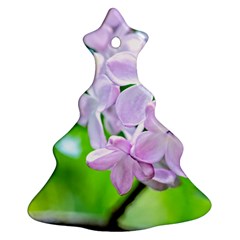 Elegant Pink Lilacs In Spring Christmas Tree Ornament (two Sides)