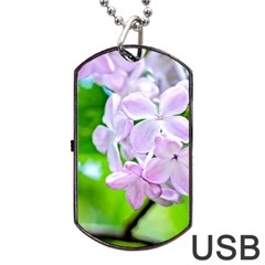Elegant Pink Lilacs In Spring Dog Tag Usb Flash (one Side) by FunnyCow