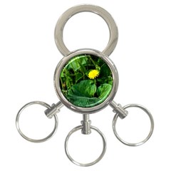 Yellow Dandelion Flowers In Spring 3-ring Key Chains
