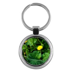 Yellow Dandelion Flowers In Spring Key Chains (round)  by FunnyCow