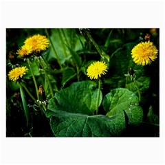 Yellow Dandelion Flowers In Spring Large Glasses Cloth by FunnyCow