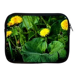 Yellow Dandelion Flowers In Spring Apple Ipad 2/3/4 Zipper Cases by FunnyCow