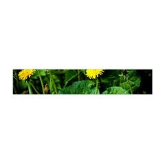 Yellow Dandelion Flowers In Spring Flano Scarf (mini)