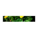 Yellow Dandelion Flowers In Spring Flano Scarf (Mini) Back