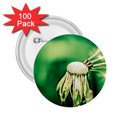 Dandelion Flower Green Chief 2 25  Buttons (100 Pack)  by FunnyCow