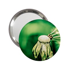 Dandelion Flower Green Chief 2 25  Handbag Mirrors