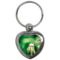 Dandelion Flower Green Chief Key Chains (heart)  by FunnyCow