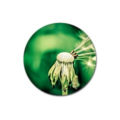 Dandelion Flower Green Chief Magnet 3  (round) by FunnyCow