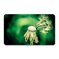 Dandelion Flower Green Chief Magnet (rectangular) by FunnyCow