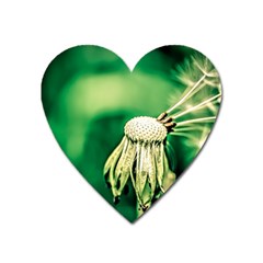 Dandelion Flower Green Chief Heart Magnet by FunnyCow