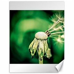 Dandelion Flower Green Chief Canvas 18  X 24   by FunnyCow
