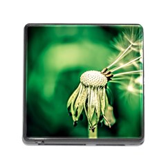 Dandelion Flower Green Chief Memory Card Reader (square 5 Slot) by FunnyCow