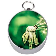 Dandelion Flower Green Chief Silver Compasses by FunnyCow