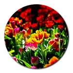 Colorful Tulips On A Sunny Day Round Mousepads Front