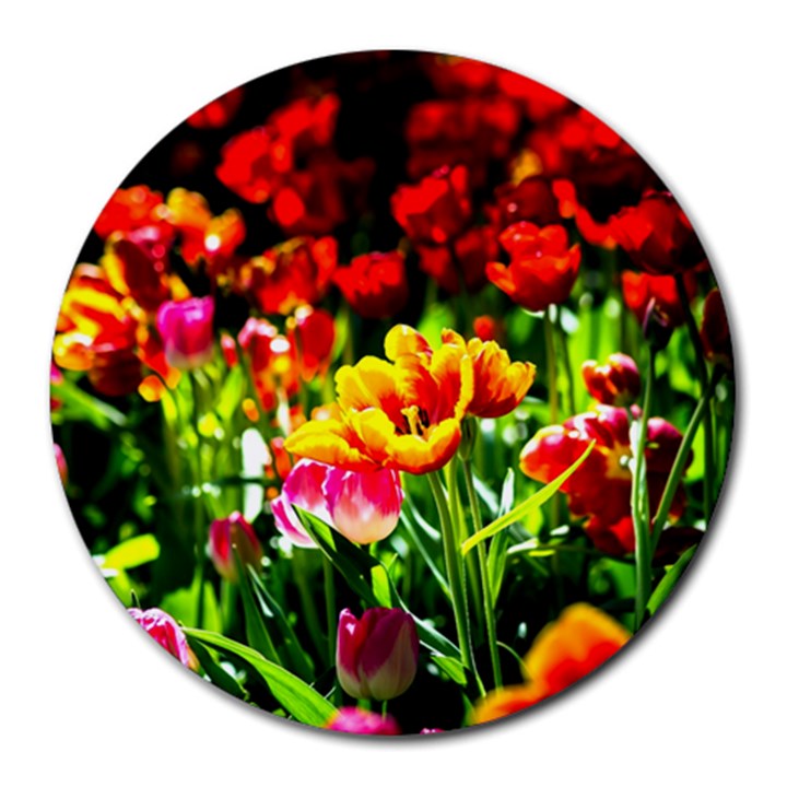 Colorful Tulips On A Sunny Day Round Mousepads