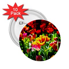 Colorful Tulips On A Sunny Day 2 25  Buttons (10 Pack)  by FunnyCow