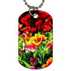 Colorful Tulips On A Sunny Day Dog Tag (one Side) by FunnyCow