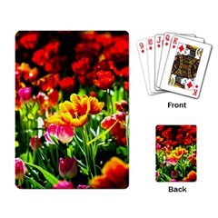 Colorful Tulips On A Sunny Day Playing Card by FunnyCow