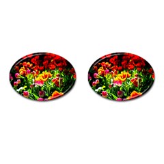 Colorful Tulips On A Sunny Day Cufflinks (oval) by FunnyCow