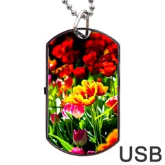 Colorful Tulips On A Sunny Day Dog Tag Usb Flash (two Sides) by FunnyCow