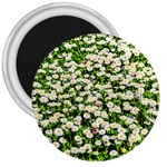 Green Field Of White Daisy Flowers 3  Magnets Front