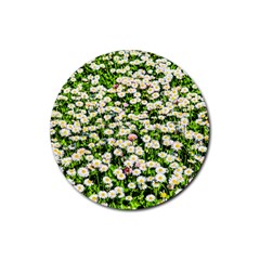 Green Field Of White Daisy Flowers Rubber Coaster (round)  by FunnyCow