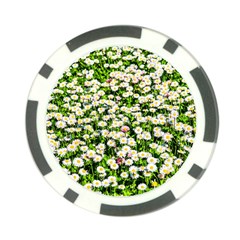 Green Field Of White Daisy Flowers Poker Chip Card Guard by FunnyCow