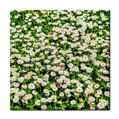 Green Field Of White Daisy Flowers Face Towel by FunnyCow