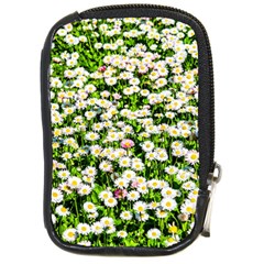 Green Field Of White Daisy Flowers Compact Camera Cases by FunnyCow