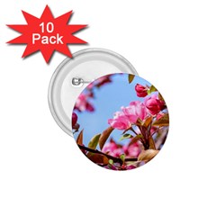 Crab Apple Blossoms 1 75  Buttons (10 Pack) by FunnyCow