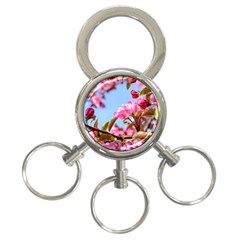 Crab Apple Blossoms 3-ring Key Chains