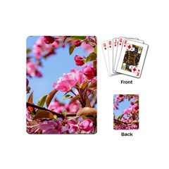 Crab Apple Blossoms Playing Cards (mini)  by FunnyCow