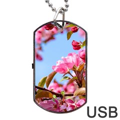 Crab Apple Blossoms Dog Tag Usb Flash (two Sides) by FunnyCow