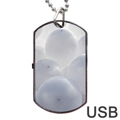 White Toy Balloons Dog Tag Usb Flash (one Side) by FunnyCow