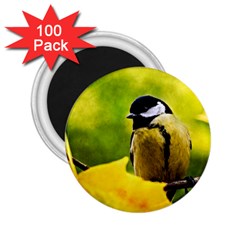 Tomtit Bird Dressed To The Season 2 25  Magnets (100 Pack)  by FunnyCow