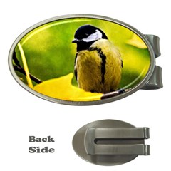 Tomtit Bird Dressed To The Season Money Clips (oval)  by FunnyCow